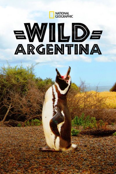 Plakát Divoká Argentina
