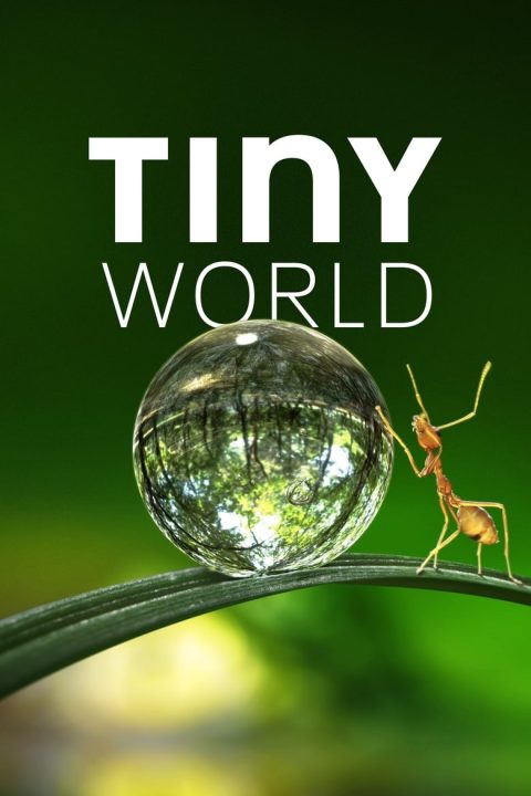 Plakát Maličký svět