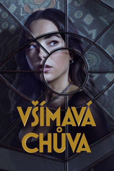 Plakát Všímavá chůva