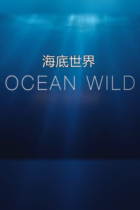 Plakát Ocean Wild
