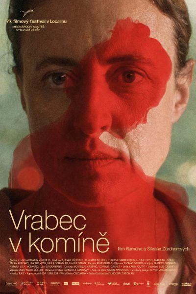 Vrabec v komíně