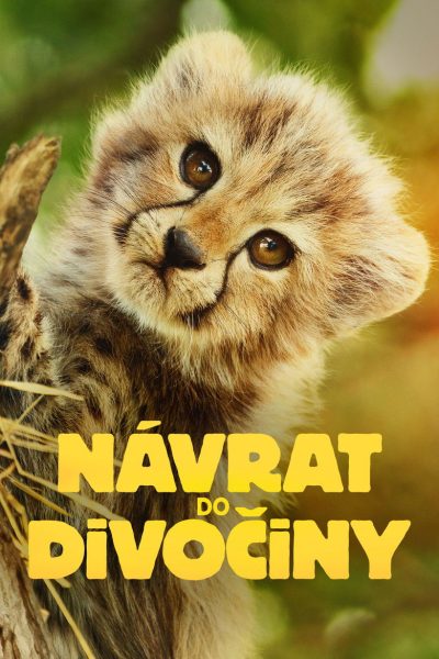 Návrat do divočiny