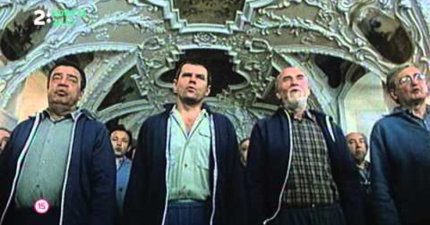 Dobří holubi se vracejí