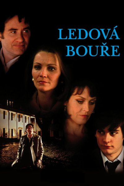 Plakát Ledová bouře