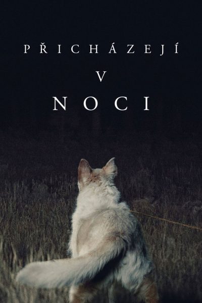 Plakát Přicházejí v noci