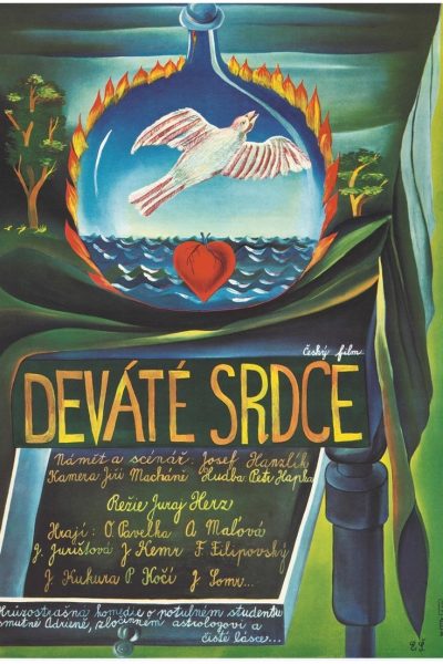 Plakát Deváté srdce