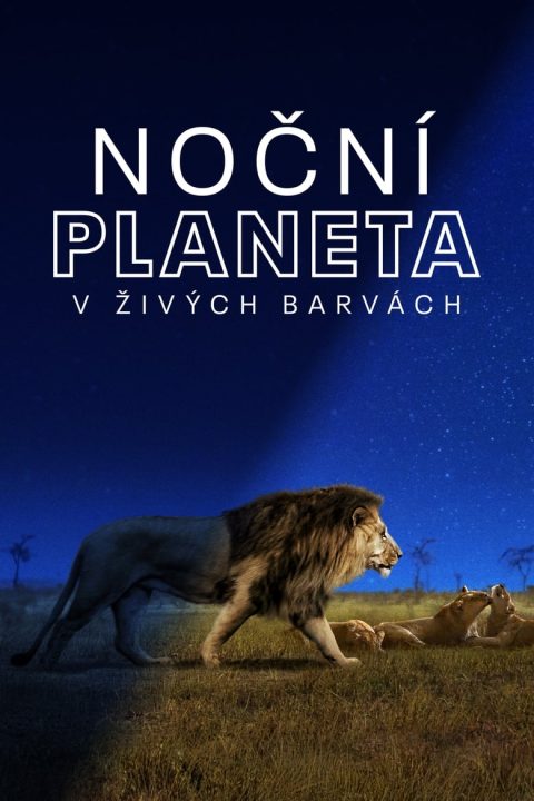 Plakát Noční planeta v živých barvách