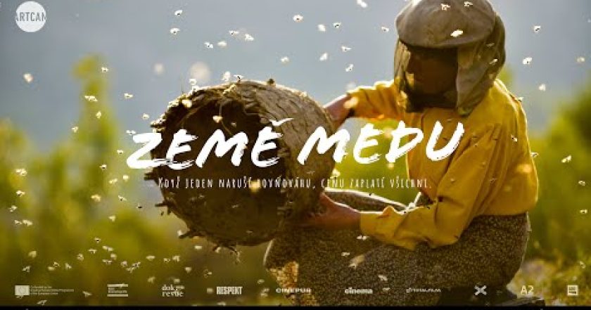 Země medu