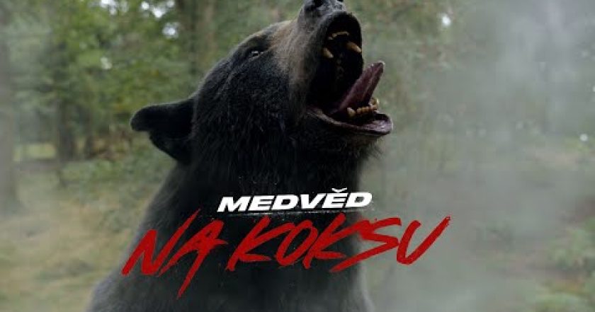 Medvěd na koksu