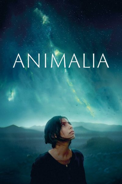 Plakát Animalia