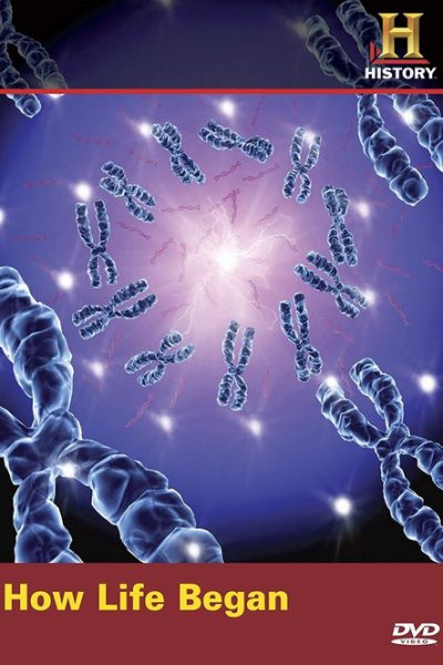 Plakát Jak začal život