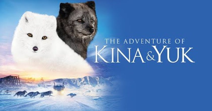 Max & Mája: Příběh lištiček