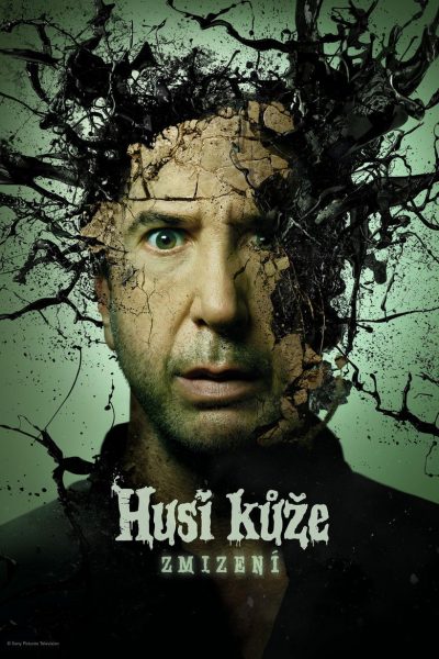 Plakát Husí kůže: Zmizení