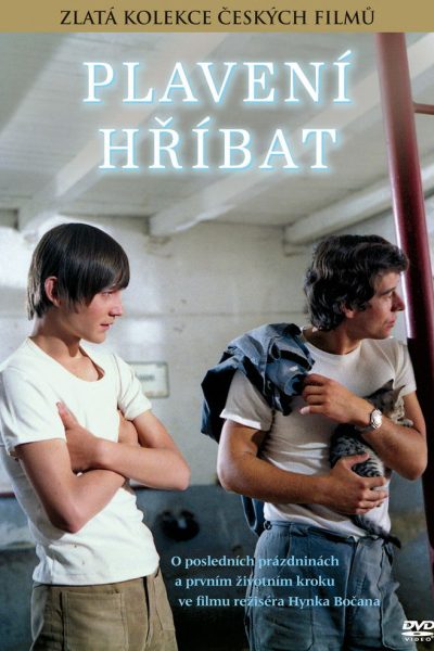 Plakát Plavení hříbat