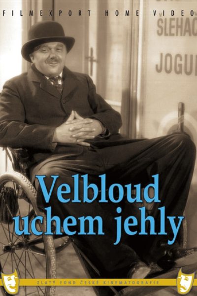 Plakát Velbloud uchem jehly