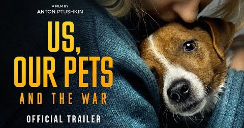 My, naši mazlíčci a válka