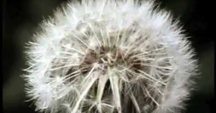 Jestliže je úterý, musíme být v Belgii