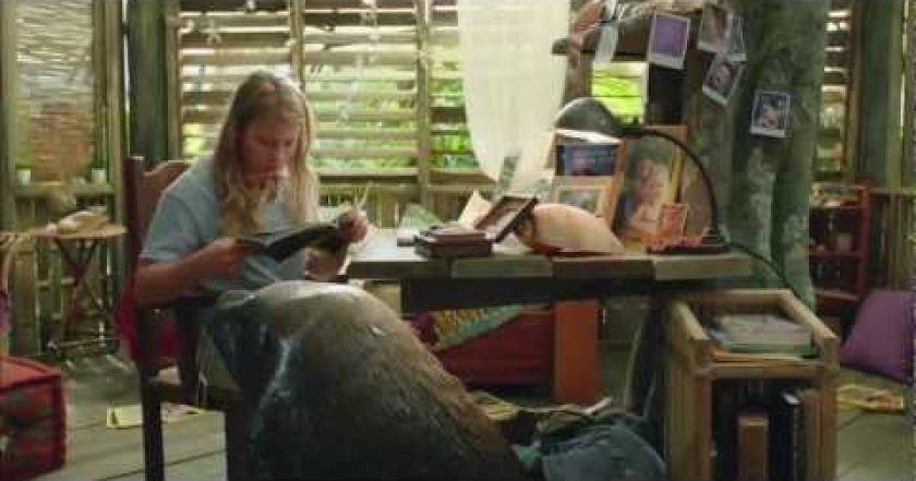 Návrat na zapomenutý ostrov