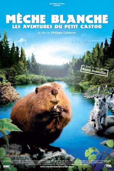 Plakát Bobři - cesta divočinou
