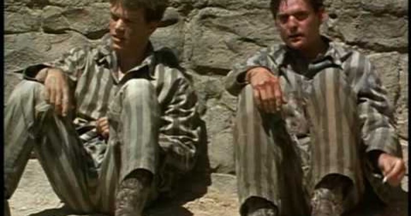 Krása divokých koní