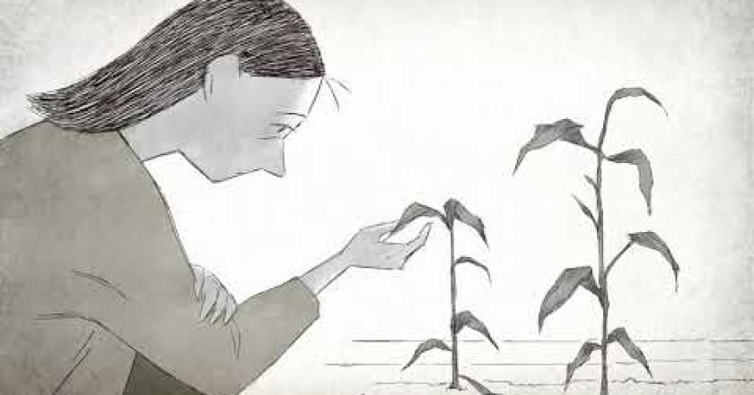 Mám vás ráda, ať se stane cokoli