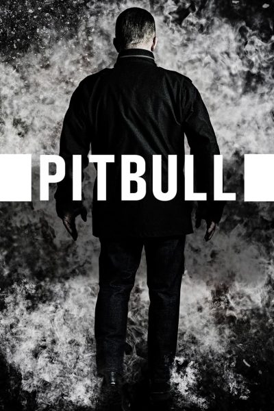 Plakát Pitbull