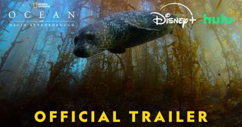 Oceán s Davidem Attenboroughem