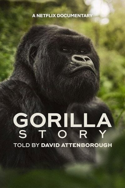 David Attenborough: Gorilí příběh