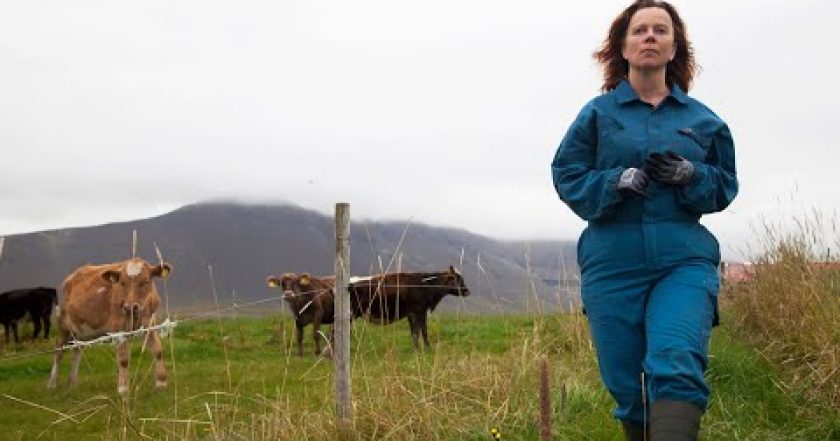 Daleko od Reykjavíku