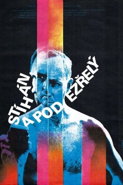 Plakát Stíhán a podezřelý