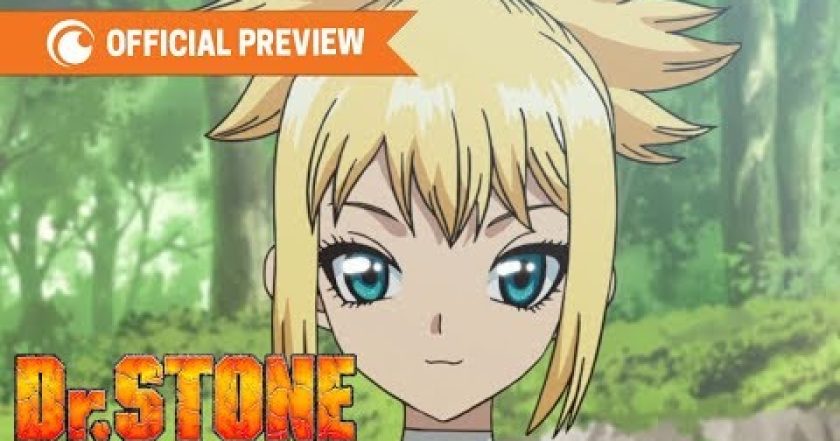 Dr. Stone
