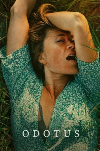 Plakát Vyčkávání