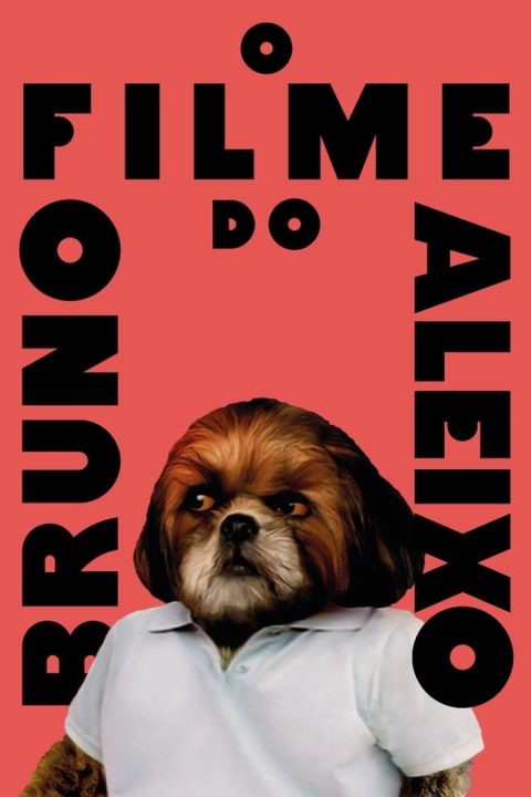 Plakát O Filme do Bruno Aleixo
