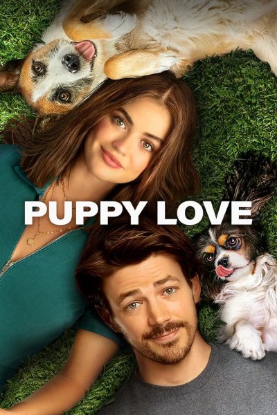 Plakát Puppy Love