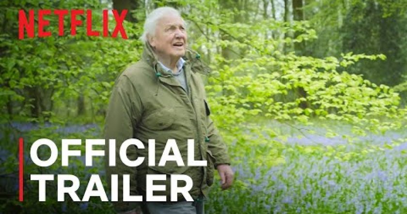 Tajuplný svět zvuků s Davidem Attenboroughem