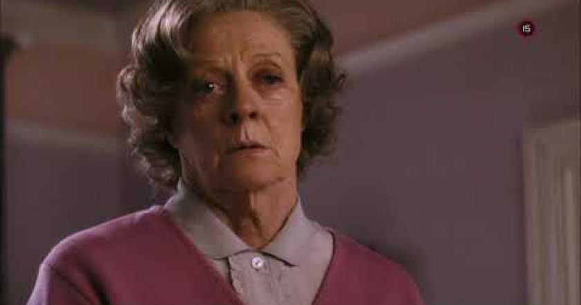 Univerzální uklízečka