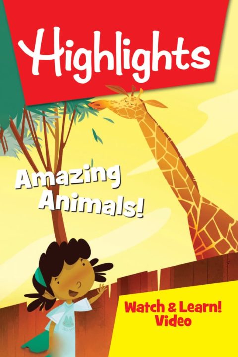 Plakát Highlights Watch & Learn!: Amazing Animals!