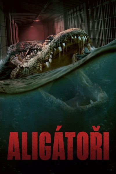 Plakát Aligátoři