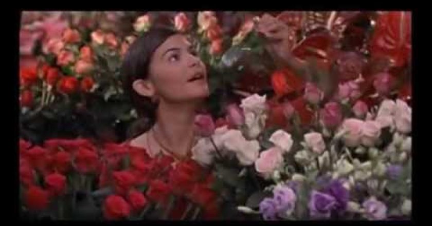 Má mě rád, nemá mě rád