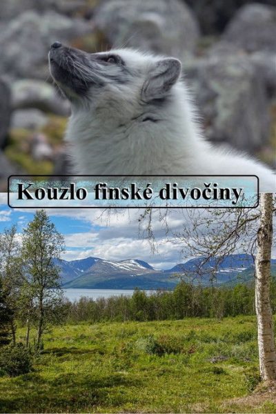 Plakát Kouzlo finské divočiny