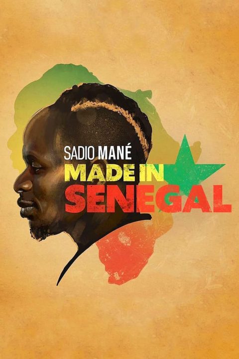 Plakát Made in Senegal
