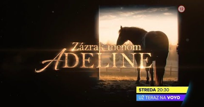 Zázračný kůň