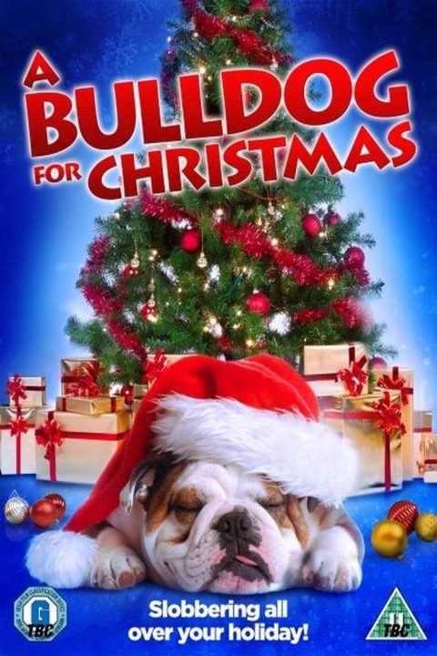 Plakát A Bulldog for Christmas