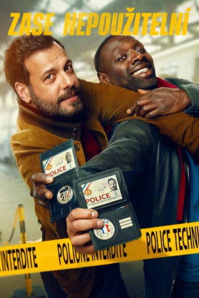 Plakát Zase nepoužitelní