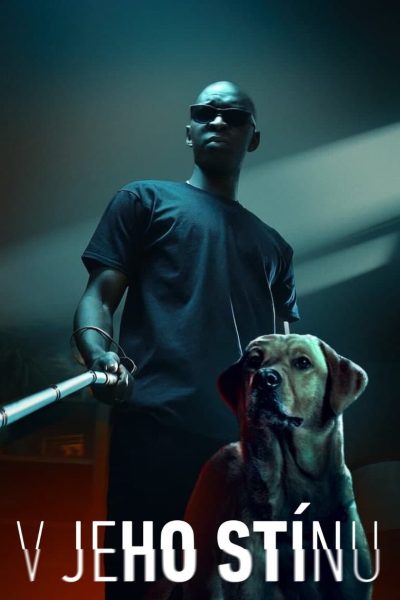 Plakát V jeho stínu