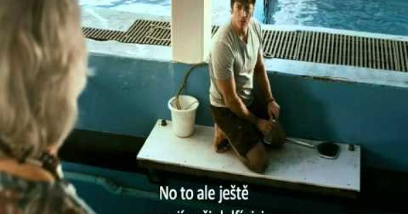 Můj přítel delfín