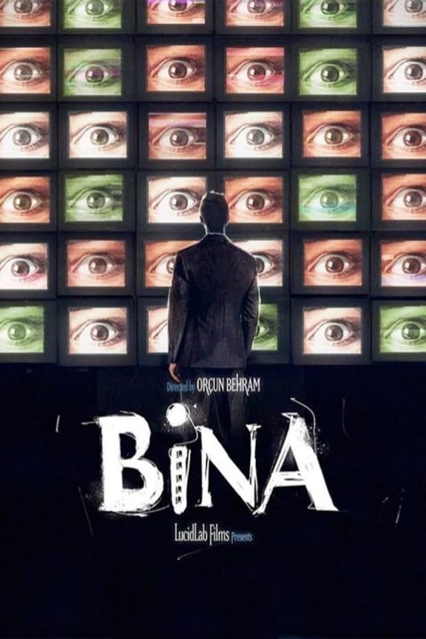 Plakát Bina