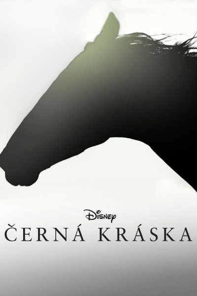 Plakát Černá kráska