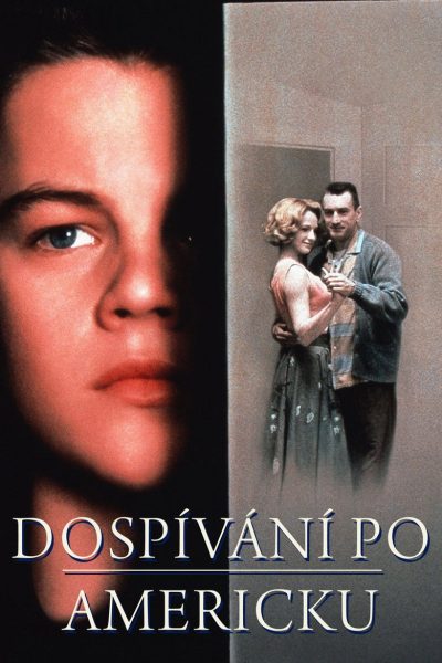 Plakát Dospívání po americku