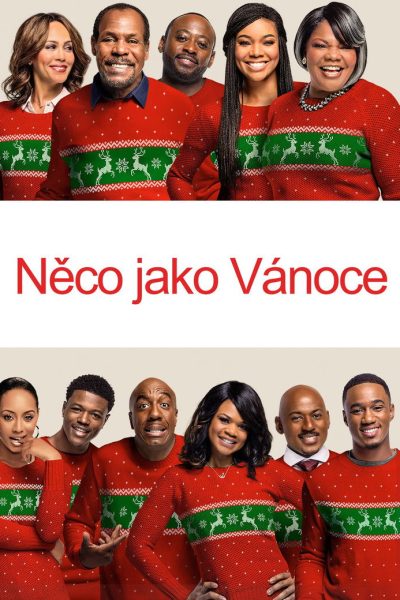 Téměř dokonalé Vánoce